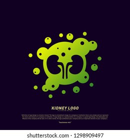 Colorful Kidney Logo Design Concept. Urology Logo Vector Template