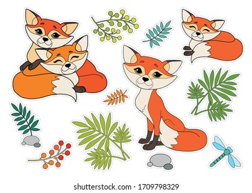 Colorful kids sticker pack with foxes, plants and dragonfly. Wild animals. Cut and glue children game.