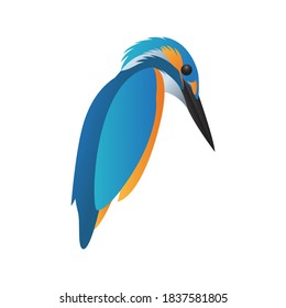 colorful kingfisher bird logo template isolated on white background