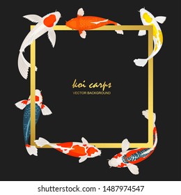 Colorful koi fish and gold frame vector background