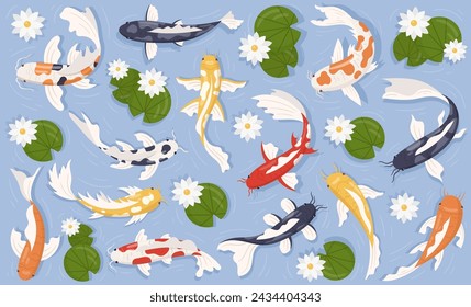 Colorful koi fish, japanese goldfish swimming in pond with lily flower and green leaves set. Oriental aquatic underwater background. Water animal floating in lake with lotus bloom vector illustration