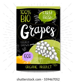 Colorful label in sketch style, food, spices, black background. Grapes. Fruits. Bio, eco, farm, fresh. locally grown. Hand drawn vector illustration.