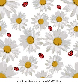 Colorful ladybug and camomile vector seamless background
