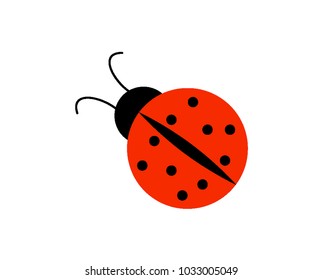 Colorful ladybug on a white background. Vector image.