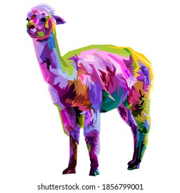 colorful Lama/Alpaca isolated on white background. vector illustration.