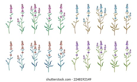 Colorful lavender flowers vector illustrations set. Collection of cartoon drawings of wildflowers or field flowers isolated on white background. Spring, plants, decoration, botany concept