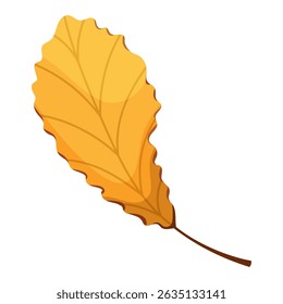 Colorful leaf in autumn color. Fall foliage. Colorful fall leaf for pattern, banner, sticker. Hello autumn. Flat vector illustration on white background.