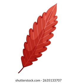 Colorful leaf in autumn color. Fall foliage. Colorful fall leaf for pattern, banner, sticker. Hello autumn. Flat vector illustration on white background.