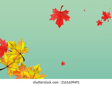 Colorful Leaf Background Green Vector. Plant Season Card. Red Seasonal Leaves. Collection Floral Template.