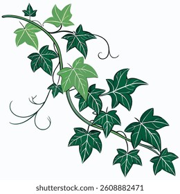 Colorful leaf design on white background, Eps fie