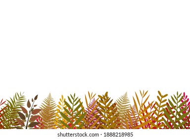 Colorful leaf frame pattern on bottom isolated on white vector illustration