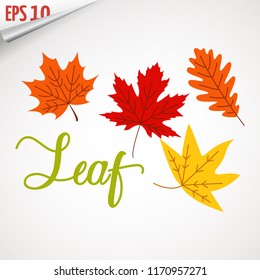 Colorful leaf logo icon vector design. Autumn leaf. Landscape design, garden, Plant, nature and ecology vector logo. Ecology Happy life Logotype concept icon. Vector illustration, Graphic