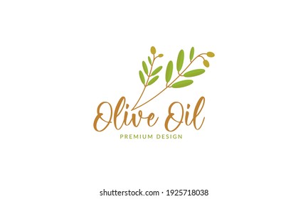 colorful leaf olive oil logo design vector icon symbol illustration