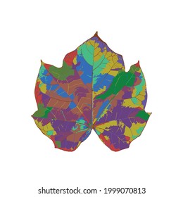 hoja colorida sobre fondo blanco. patrón transparente