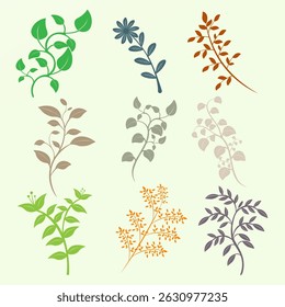 Colorful Leaf Ornament Collection – Floral Botanical Elements