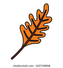 colorful leaf over white background  vector illustration