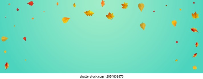 Colorful Leaf Vector Blue Panoramic Background. Collection Floral Texture. Ocher Season Leaves Frame. Pattern Template.