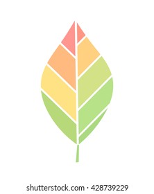 Colorful leaf. Vector illustration