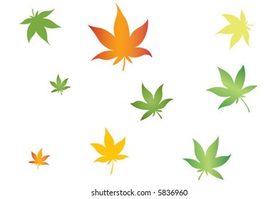colorful leaves