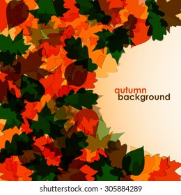 Colorful  leaves in an abstract form. Vector background. Eps 10