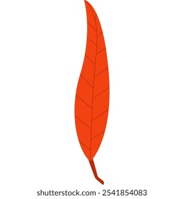 Colorful Leaves for Autumn, Summer, Spring. Vector Illustration