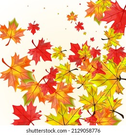 Colorful Leaves Background Beige Vector. Leaf Design Frame. Orange Wallpaper Plant. Paper Floral Template.