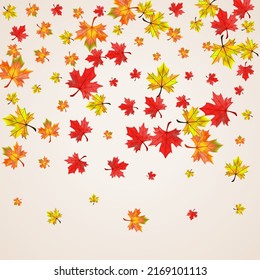 Colorful Leaves Background Beige Vector. Foliage Decoration Illustration. Orange Ground Plant. Paper Floral Frame.