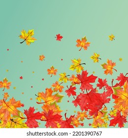 Colorful Leaves Background Green Vector. Leaf Flying Template. Yellow October Plant. Realistic Floral Design.
