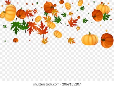 Colorful Leaves Background Transparent Vector. Red Drawing Border. Orange Rowan Collection Illustration. Vegetable Image. Decoration Set.