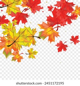 Fondo de hojas de colores Vector transparente. Planta Celebrar la Plantilla. Amarillo Abajo Floral. Ilustración de hoja de temporada.