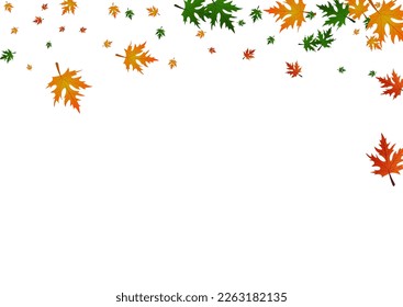 Farbige Blätter Hintergrund weißer Vektorgrafik. Pflanzlicher Herbstrahmen. Grüner Einziger. Dekormuster. Ocher Foliage Down.
