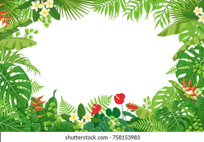 Colorful leaves and flowers of tropical plants background. Horizontal  floral frame with space for text. Tropic rainforest foliage border. Vector flat illustration.