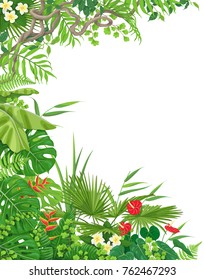Colorful leaves and flowers of tropical plants background with space for text. Vertical side border made with monstera, fern, palm fronds, liana branches. Tropic rainforest foliage frame. 
