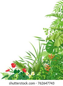 Colorful leaves and flowers of tropical plants  floral background with space for text. Vertical side corner border made with monstera, fern, palm fronds. Tropic rainforest foliage. 