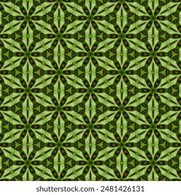 The colorful leaves are greenish-white and are arranged in bouquets. Characterized by a square shape. Makes you feel refreshed, cheerful, and relaxed.