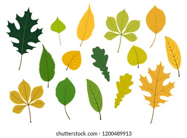 Colorful leaves Illustration icon set