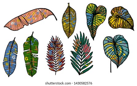 Colorful leaves tropic set with abstract elements for decorative design. Exotic tropical leaves for any purposes