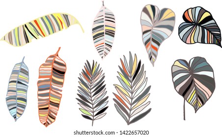 Colorful leaves tropic set for decorative design. Exotic tropical leaves for any purposes