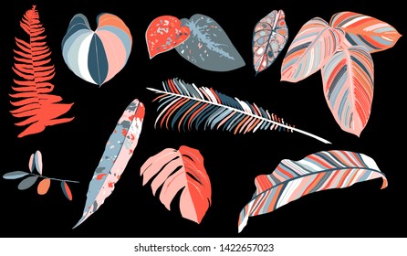 Colorful leaves tropic set for decorative design. Exotic tropical leaves for any purposes