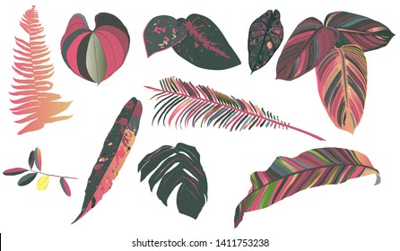 Colorful leaves tropic set on black background for decorative design. Exotic tropical leaves with gradient elements for any purposes