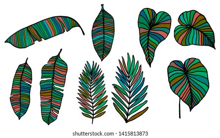 Colorful leaves tropic set on white background for decorative design. Exotic tropical leaves for any purposes