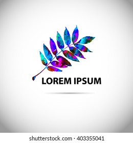Colorful leaves. Vector