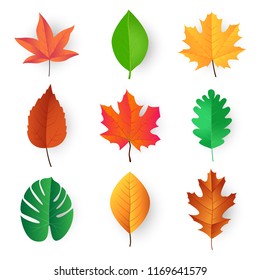 colorful leaves, vector design elements