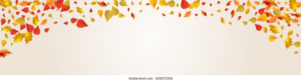 Fondo Panorámico Gris Vector De Hojas Coloridas. Diseño de Foliage de Septiembre. Tarjeta Golden October Leaf. Marco de la colección.