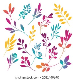 Colorful leaves. Willow and palm branches, fern branches, lichen, mistletoe, herbs, dandelion flower vector illustrations set. Hand drawn branches, flower twigs collection isolated on white.