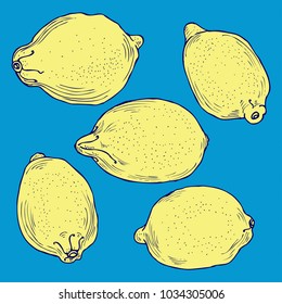 Colorful lemon collection in vector