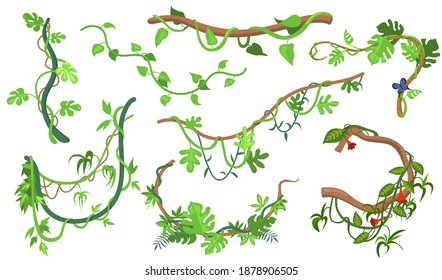 Colorful liana or jungle plant flat set for web design. cartoon climbing twigs of tropical vines and trees isolated vector illustration collection