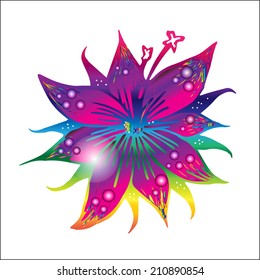 Colorful lily bright vector one