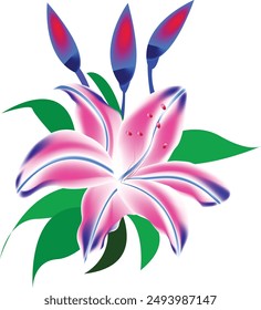 colorful lily flower illustration background