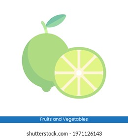 Colorful Lime icon vector design. Fruits and Vegetables symbol for your website design, logo, app, 